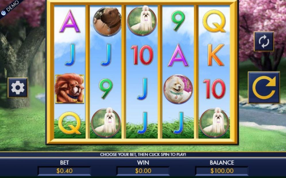 A Bark in the Park online Casino Spiel