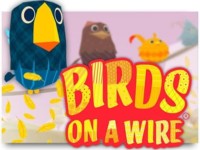 Birds On A Wire Spielautomat