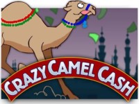 Crazy camel cash Spielautomat