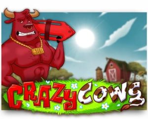 Crazy Cows Geldspielautomat freispiel