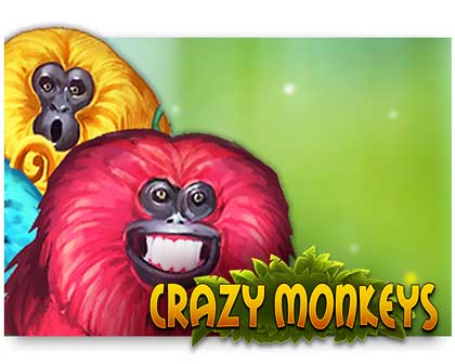 Crazy Monkeys Spielautomat online spielen