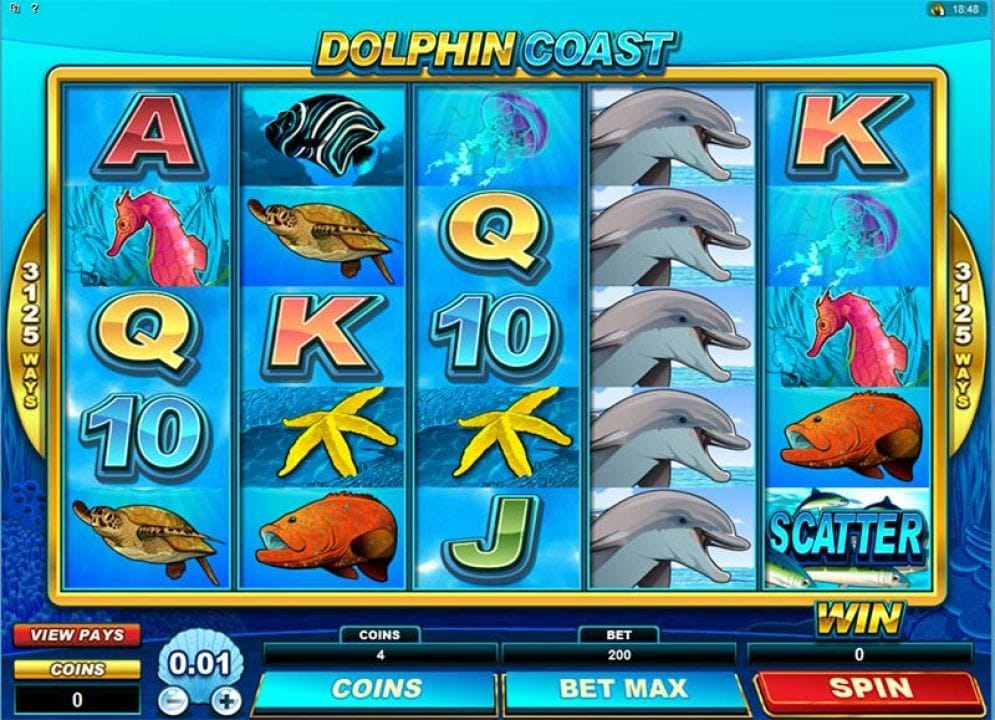 Dolphin Coast online Video Slot