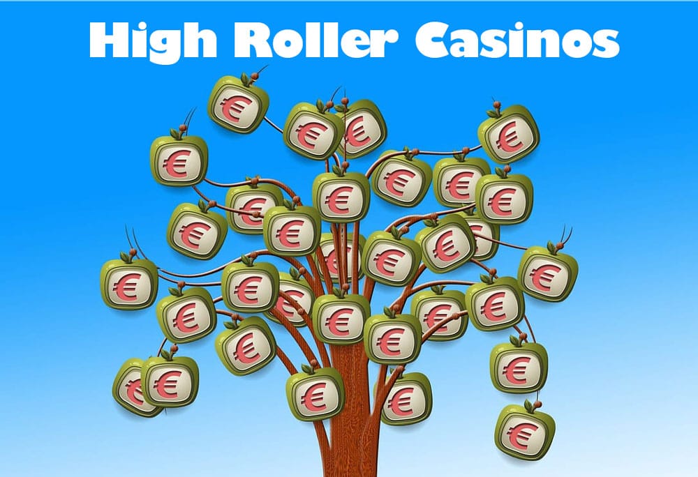 High Roller online Casinos Erfahrungen