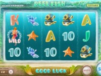 Reel Fish Spielautomat