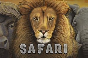 Safari Videoslot online spielen