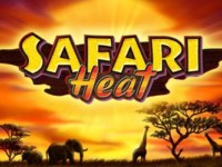 Safari Heat Spielautomat