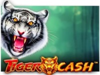 Tiger Cash Spielautomat