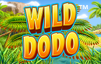 Wild Dodo Video Slot online spielen